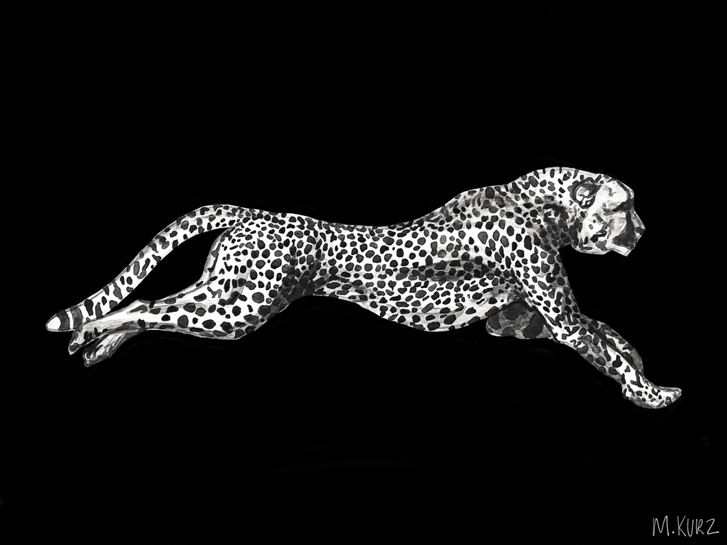 Cheetah Negative Print