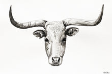 Load image into Gallery viewer, Longhorn
