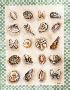 Sandy Finds Print