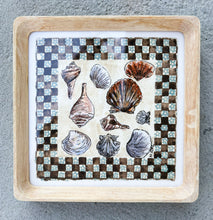 Load image into Gallery viewer, East Coast Shell Print
