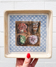Load image into Gallery viewer, Periwinkle Shells